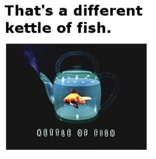 That's a different kettle of fish
