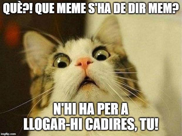 meme en català mem