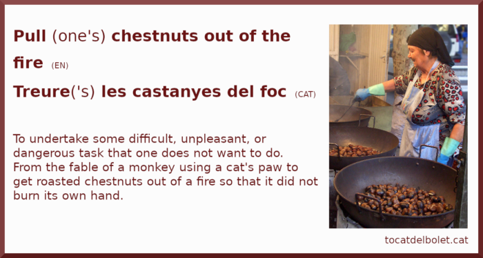 pull one's chestnuts out of the fire in Catalan
idioms
sayings
proverbs