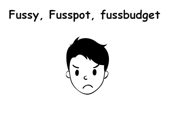 Fussy, fusspot and fussbudget in other languages