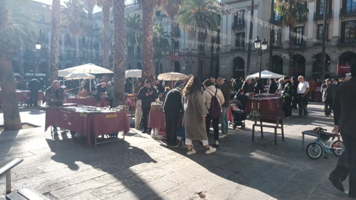 Numismatic Market
intage clothing, second-hand objects, and of course, antiques
Barcelona
Places to visit in Barcelona
Tours in Barcelona
Tourism in Barcelona
Things to do in Barcelona
Catalonia
Capital of Catalonia
