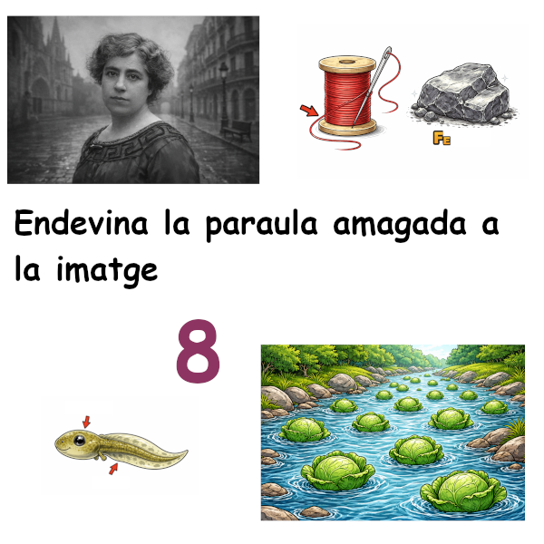 Endevina la paraula amagada a la imatge 8
