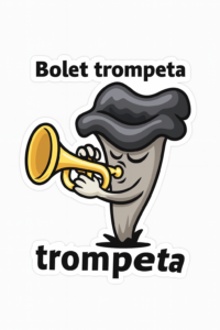 trompeta
trompetes
trompeta de la mort
bolets
fongs
bolet
fong