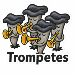 trompeta
trompetes
trompeta de la mort
bolets
fongs
bolet
fong