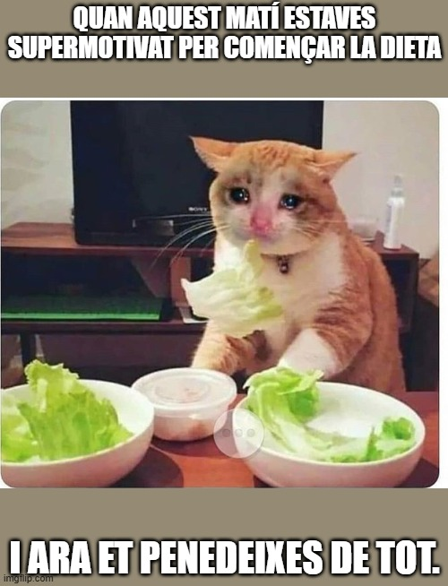 mem, meme, dieta, règim, aprimar-se, perdre pes, operació bikini, alimentació saludable, dèficit calòric, menjar sa, vida sana, calories, control de pes, pes ideal, cintura, abdomen pla, figura, forma física, hàbits saludables, nutrició, alimentació equilibrada, menú saludable, esmorzar lleuger, sopar lleuger, no picar entre hores, suar la cansalada, cremar greix, greix abdominal, baixar talles, perdre panxa, mirar-se el plat, disciplina, constància, motivació, autocontrol, gym, exercici, cardio, caminar, córrer, entrenament, fitness, benestar, salut, detox, estiu, banyador, biquini, cos sa, resultat, sacrifici, transformació
