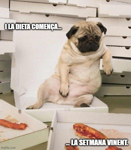 mem, meme, dieta, règim, aprimar-se, perdre pes, operació bikini, alimentació saludable, dèficit calòric, menjar sa, vida sana, calories, control de pes, pes ideal, cintura, abdomen pla, figura, forma física, hàbits saludables, nutrició, alimentació equilibrada, menú saludable, esmorzar lleuger, sopar lleuger, no picar entre hores, suar la cansalada, cremar greix, greix abdominal, baixar talles, perdre panxa, mirar-se el plat, disciplina, constància, motivació, autocontrol, gym, exercici, cardio, caminar, córrer, entrenament, fitness, benestar, salut, detox, estiu, banyador, biquini, cos sa, resultat, sacrifici, transformació