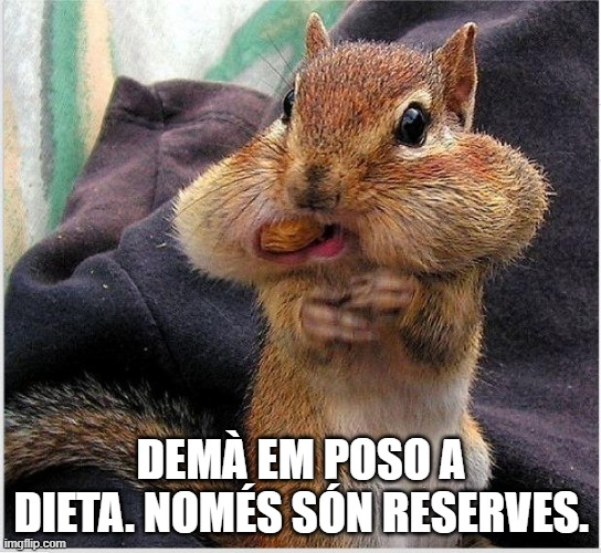 mem, meme, dieta, règim, aprimar-se, perdre pes, operació bikini, alimentació saludable, dèficit calòric, menjar sa, vida sana, calories, control de pes, pes ideal, cintura, abdomen pla, figura, forma física, hàbits saludables, nutrició, alimentació equilibrada, menú saludable, esmorzar lleuger, sopar lleuger, no picar entre hores, suar la cansalada, cremar greix, greix abdominal, baixar talles, perdre panxa, mirar-se el plat, disciplina, constància, motivació, autocontrol, gym, exercici, cardio, caminar, córrer, entrenament, fitness, benestar, salut, detox, estiu, banyador, biquini, cos sa, resultat, sacrifici, transformació