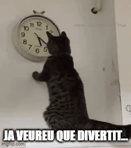 humor, gats, acudits, riure, diversió, comèdia, felins, miols, bromes, somriures, gatets, sàtira, ironia, enginy, ocurrències, rialles, entreteniment, capses, ratolins, memes, caricatures, còmic, mascota, trapelleries, humor gatú