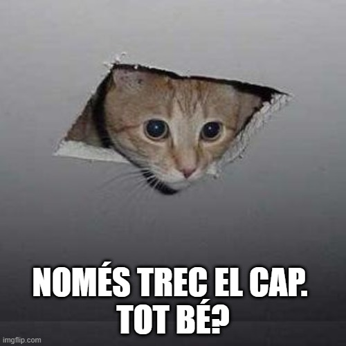 humor, gats, acudits, riure, diversió, comèdia, felins, miols, bromes, somriures, gatets, sàtira, ironia, enginy, ocurrències, rialles, entreteniment, capses, ratolins, memes, caricatures, còmic, mascota, trapelleries, humor gatú