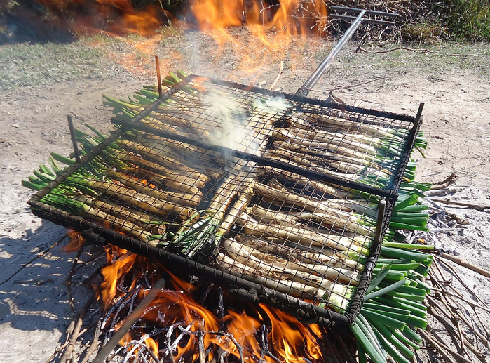 Calçots, cuina catalana, gastronomia catalana, plats catalans, menjar català, àpats catalans, àpat català, menjar català